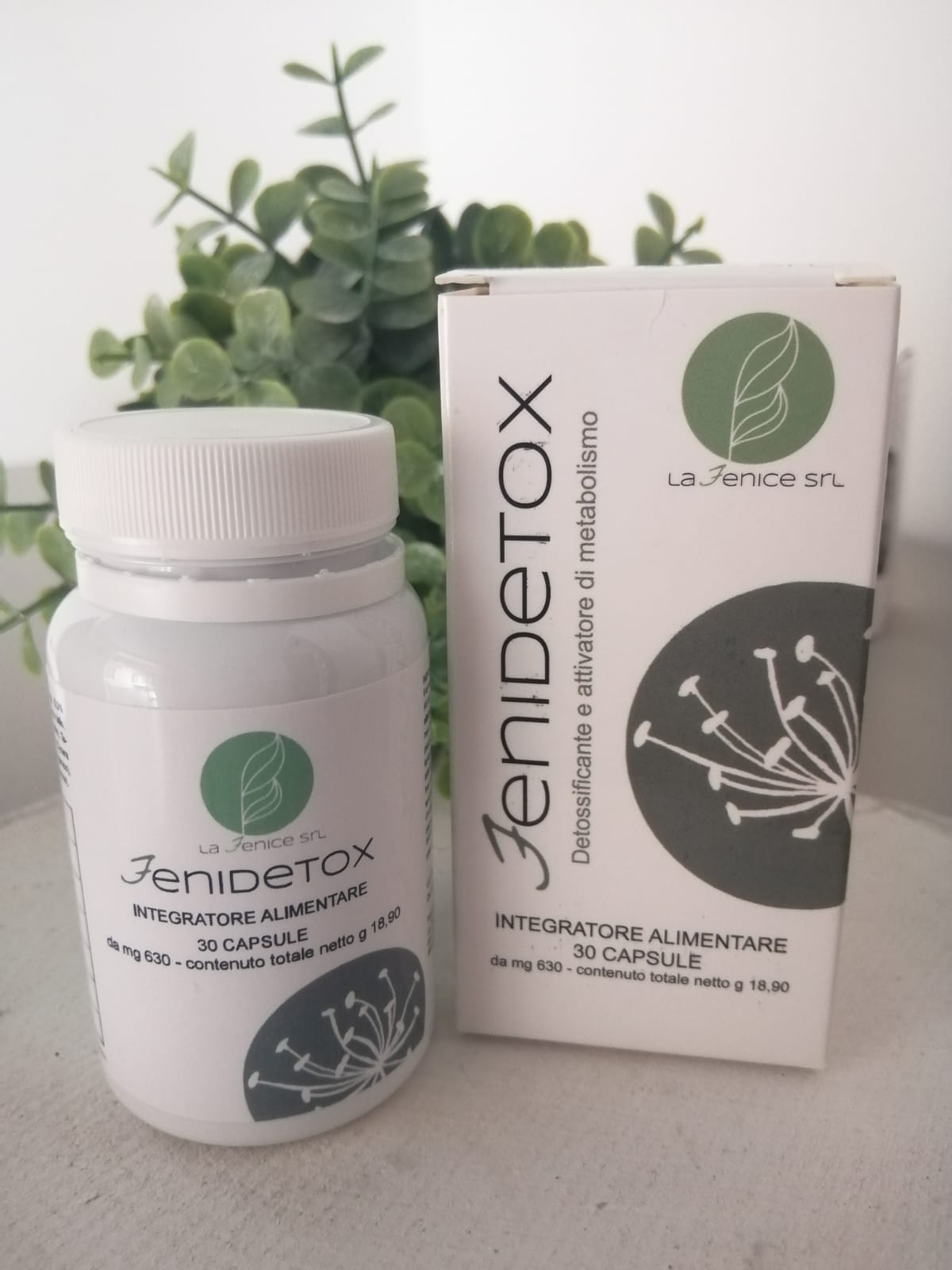 Fenidetox - 30 capsule