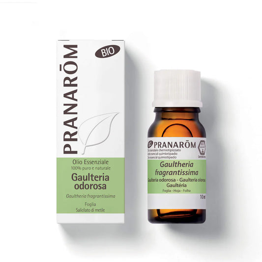 Gaulteria Odorosa BIO - 10 ml olio essenziale